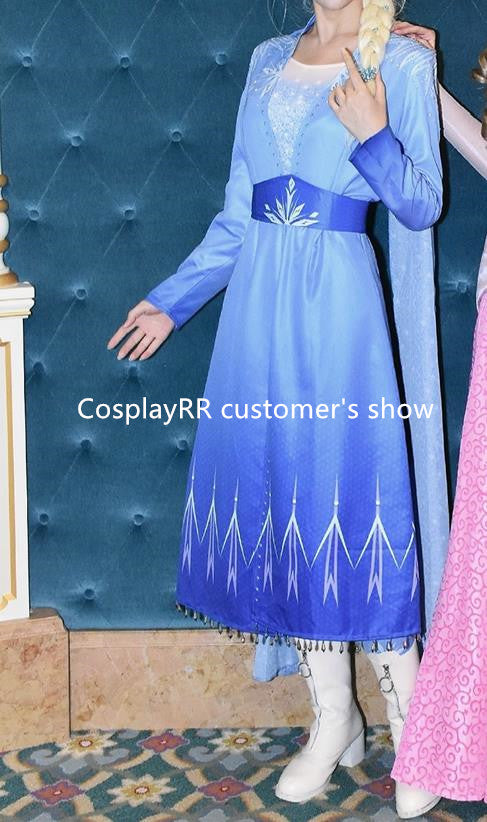 Elsa dress sale frozen 2 adult