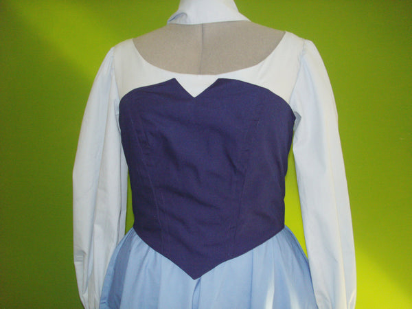 From the Little Mermaid Ariel's Kiss the Girl Human Dress