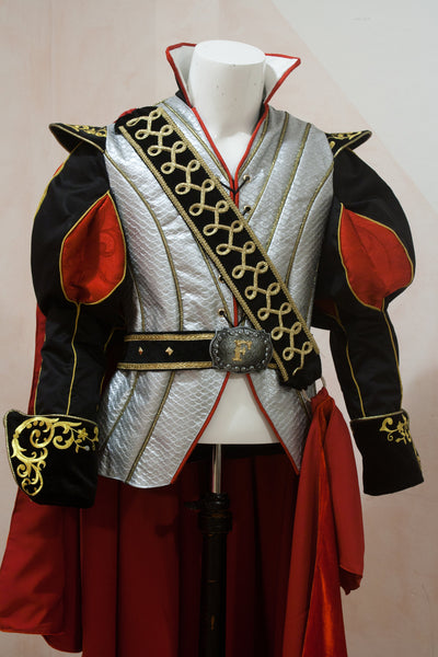 Sleeping Beauty costume  Aurora and Philip Philip Adult