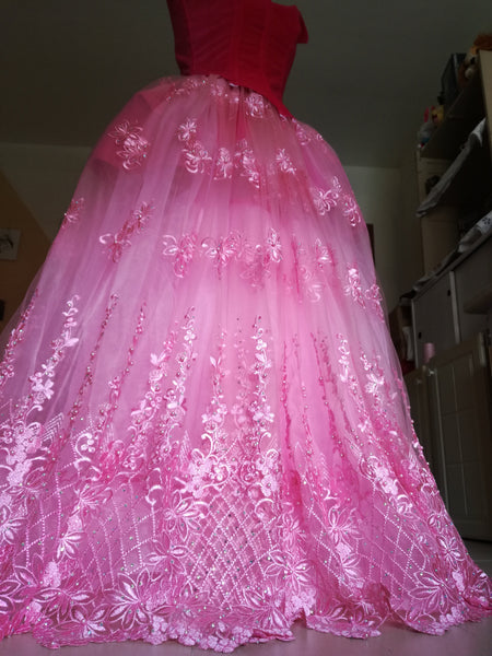 Sleeping Beauty costume  Aurora and Philip Philip Adult