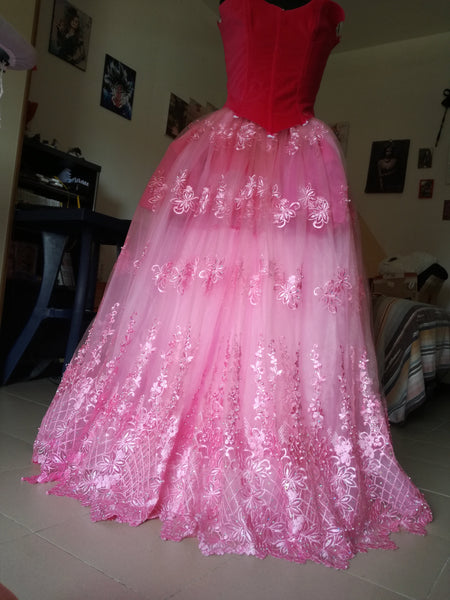 Sleeping Beauty costume  Aurora and Philip Philip Adult