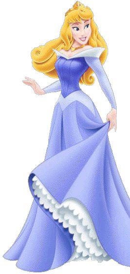 Sleeping beauty costume Aurora dress
