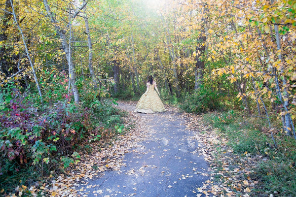 Beauty and the Beast dress-Belle Gown Custom made