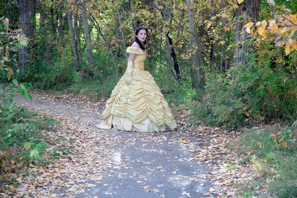 Beauty and the Beast dress-Belle Gown Custom made