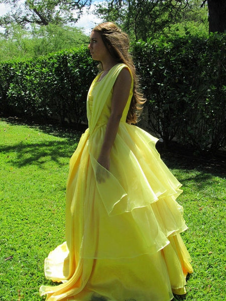 Gown Dress for Teens Adults 2017 Belle Princess Costume Cosplay