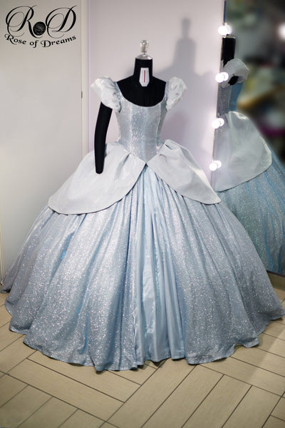 Cinderella cosplay costume Adult 10