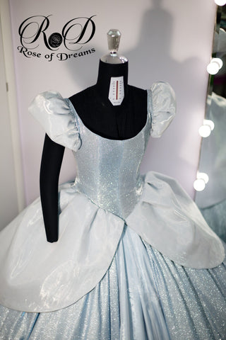 Cinderella cosplay costume Adult 10