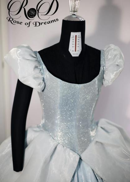 Cinderella cosplay costume Adult 10