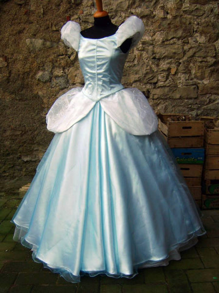 Cinderella ball gown princess dress