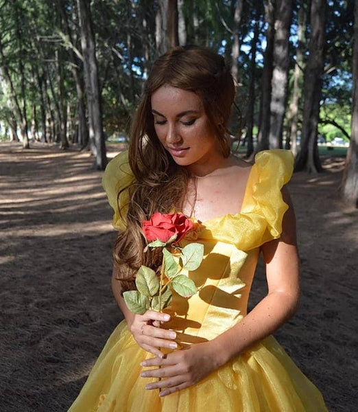 Gown Dress for Girls Teens Adults Classic Belle Princess Cosplay Costume
