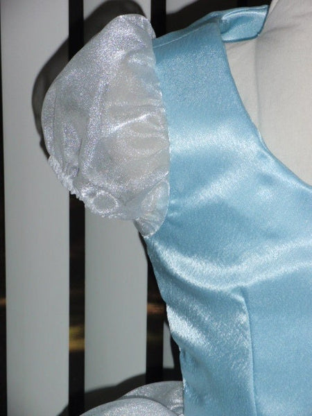 Gown Dress and Choker for Girls Classic Cinderella Princess Costume