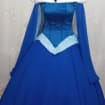 Costume Cosplay Princess hoop skirt Cosplay Aurora Blue dress