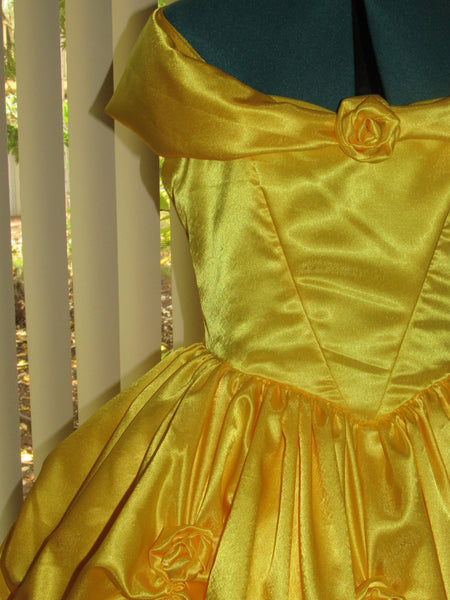 Gown for Girls Teens Adults Deluxe Classic Belle Princess Costume