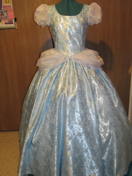 Gown Dress and Choker for Teens Adults Deluxe Classic Cinderella Princess Costume
