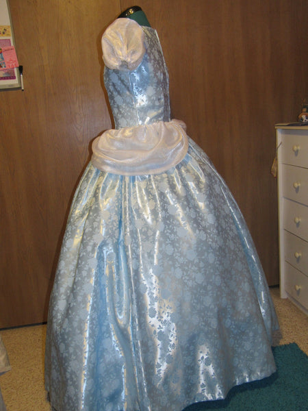 Gown Dress and Choker for Teens Adults Deluxe Classic Cinderella Princess Costume