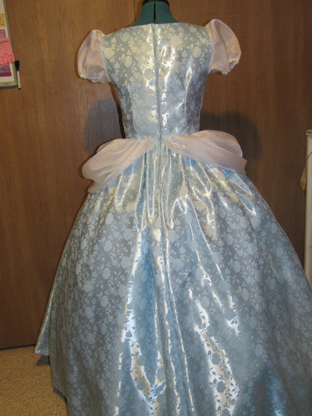 Gown Dress and Choker for Teens Adults Deluxe Classic Cinderella Princess Costume