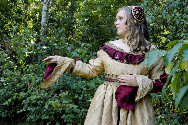 Ever After dress costume CUSTOM Renaissance Italian Borgias