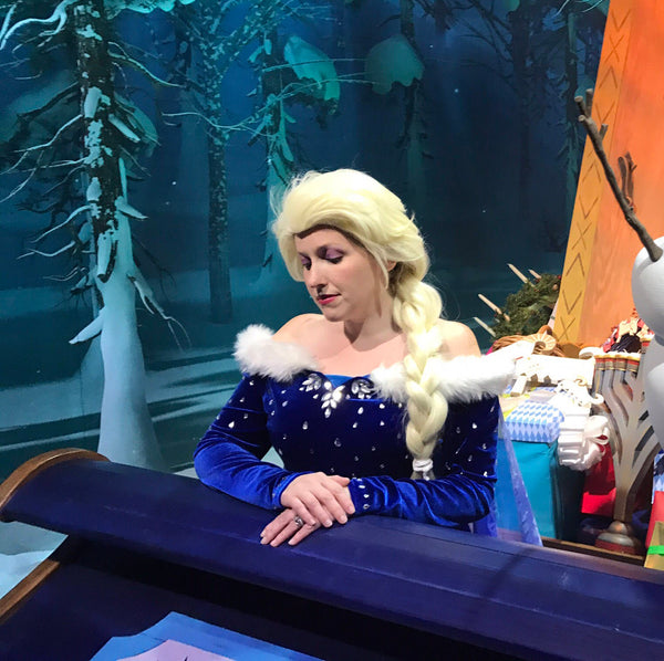 Christmas Holiday Winter Blue Dress Gown Costume Cosplay Adult Size Ice Snow Queen Inspired Frozen