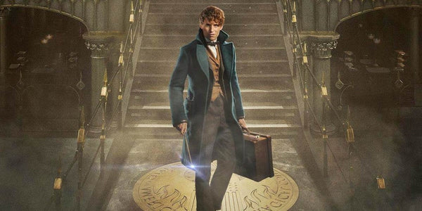 Theatre movie K Rowling Harry Potter Fantastic Beasts and Where to Find Them inspired costumes