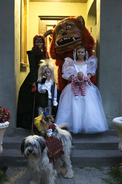 Labyrinth Family Costume