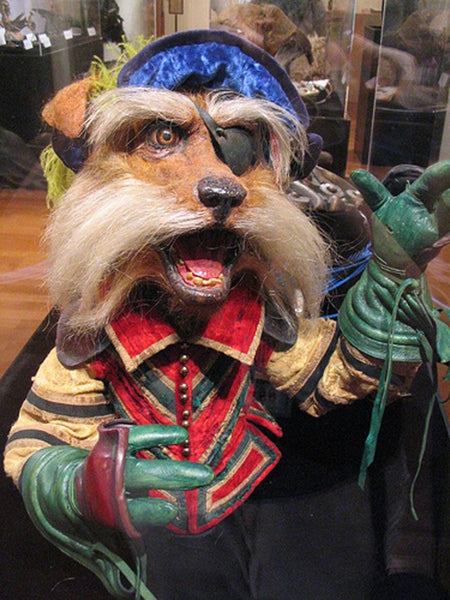 Sir Didymus outfit Labyrinth Cosplay men Costume Larp renaissance costume set MADE TO ORDER