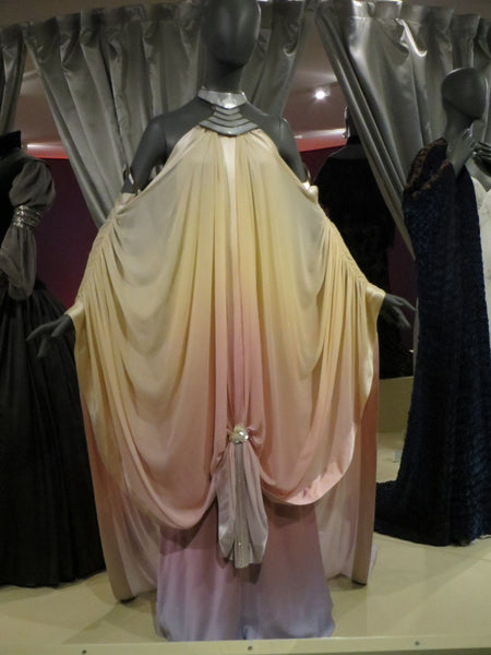Delightful dress padme amidala costume padme cosplay Padme lakeside dress Padme lake dress padme costume