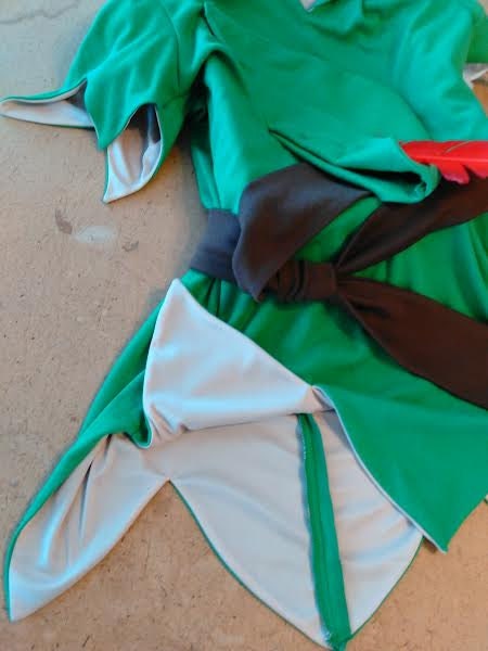 Like the movie for adults Peter Pan Costume