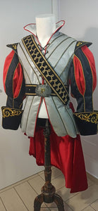 Sleeping Beauty costume Prince Philip Philip Adult