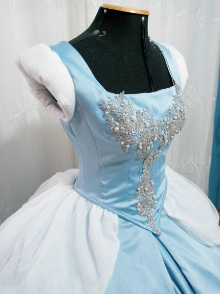Princess Dress adult MADE to ORDER+hoopskirt Cosplay Princess Cinderella dress costume