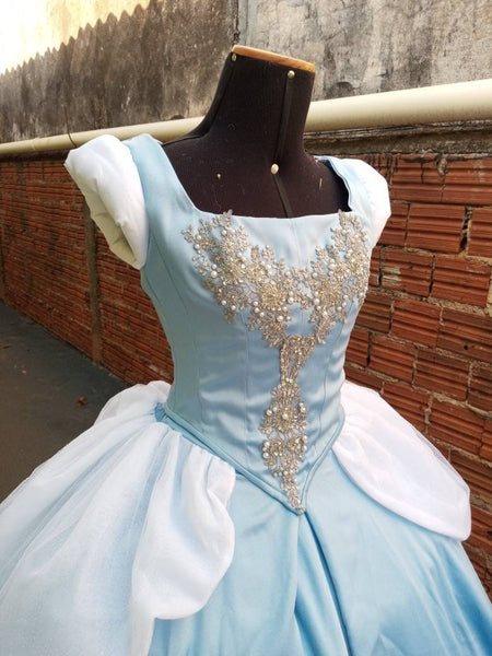 Princess Dress adult MADE to ORDER+hoopskirt Cosplay Princess Cinderella dress costume