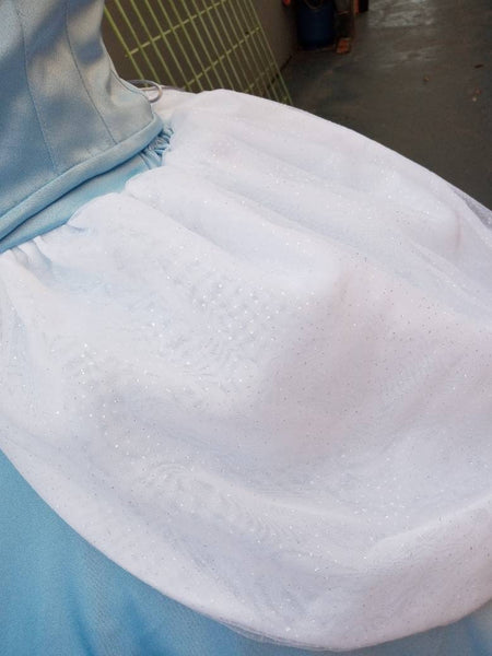 Princess Dress adult MADE to ORDER+hoopskirt Cosplay Princess Cinderella dress costume