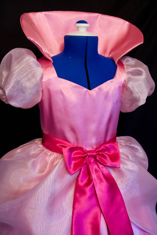 ADULT SIZE Custom Cosplay Tiana CHARLOTTE Gown Costume