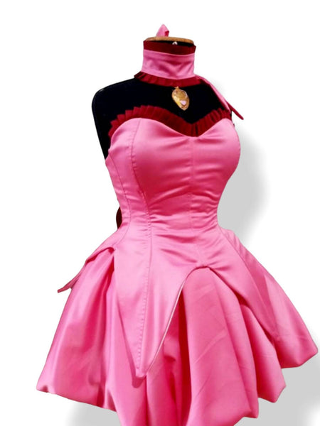 Pink dress tail and ears MADE to ORDER magical girls Cosplay Tokyo mew mew Ichigo Momomiya costume adult