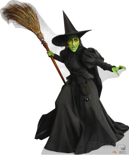 Wizard of Oz Evil wicked Witch Momba Costume Adults for Women with Hat