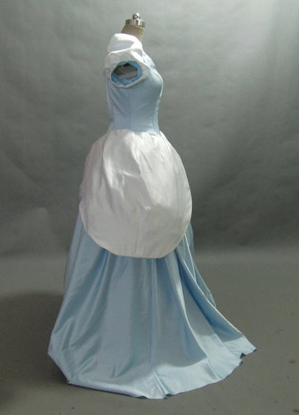 Adult Cinderella Costumes for Women Cinderella Halloween Dress