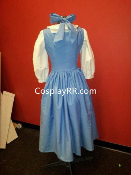 Princess Belle Provincial Blue Dress Cosplay Costume