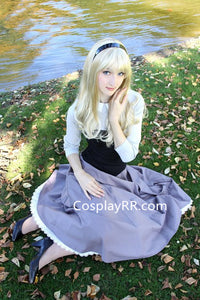 Briar Rose dress adult costume plus size
