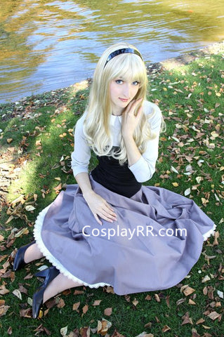 Briar Rose dress adult costume plus size