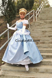 Cinderella Dress Park Version Swirl Gown for Adult with Gloves