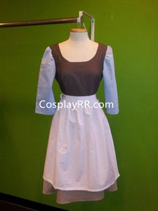 Cinderella Rags Dress Adult Rags Dress