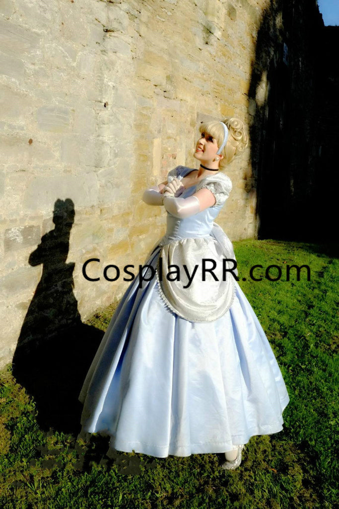 Cinderella dress hotsell real life