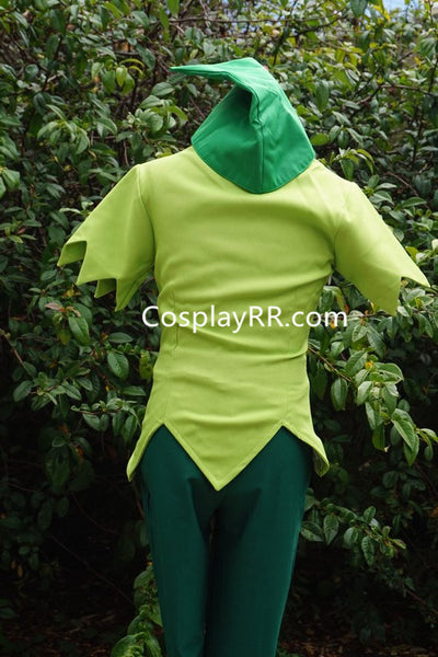 Peter Pan costume adults male