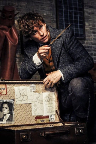 Scamander Costume Fantastic Beasts The Crimes of Grindelwald