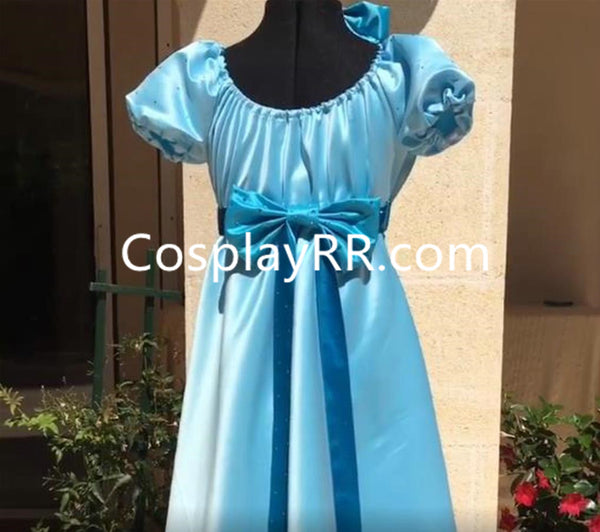 Wendy Darling dress costume for womens plus size