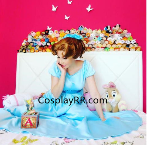 Wendy darling blue dress costume with headpiece plus size